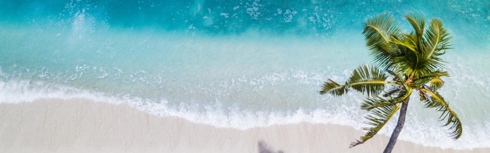 Does Aloe Vera Help Sunburn? Hawaiian Tropic Hawaiian Tropic FR